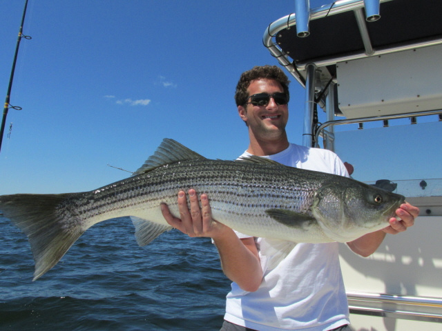 Steve's 38" striper 6-15-13